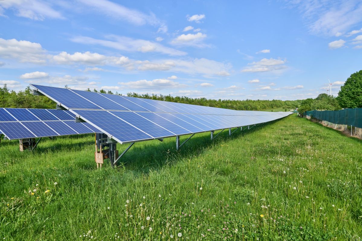 Mehrere Reihen von Photovoltaikmodulen stehen auf einer grünen Wiese und erstrecken sich bis zum Horizont, umgeben von Vegetation unter blauem Himmel mit vereinzelten Wolken.